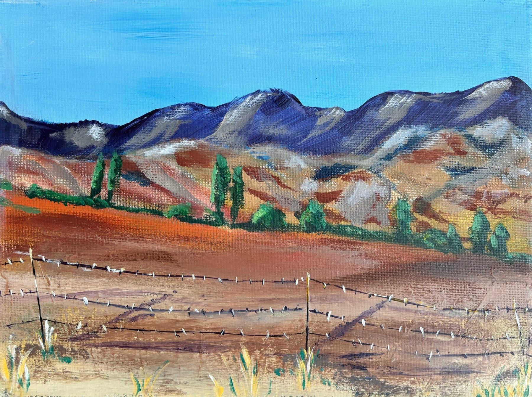 Karoo landscape